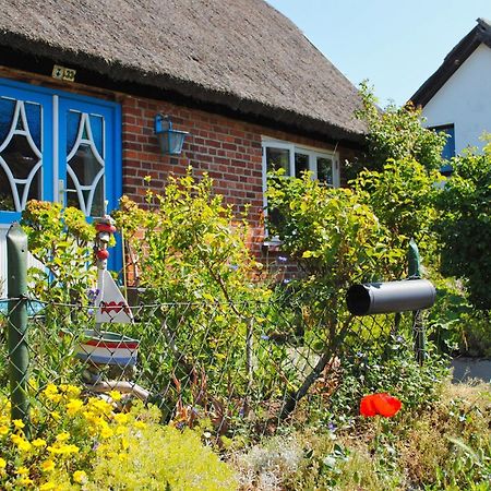 Haus Inselwind Fewo 09 Meerzauber - Terrasse Groß Zicker Exteriör bild